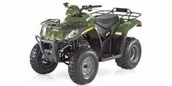 2001 Arctic Cat 300