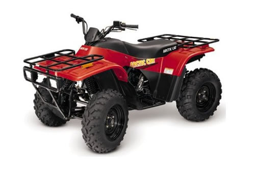 2001 Arctic Cat 300