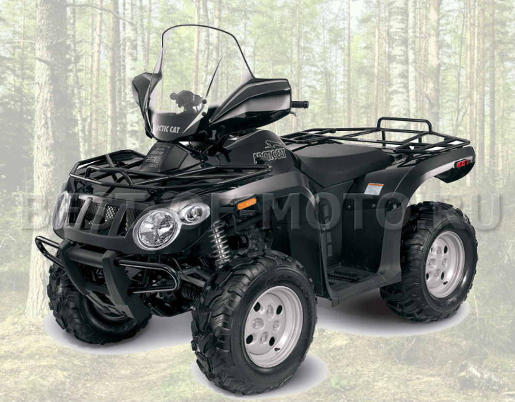 Arctic Cat 300