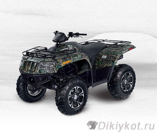 Arctic Cat 300 2x4