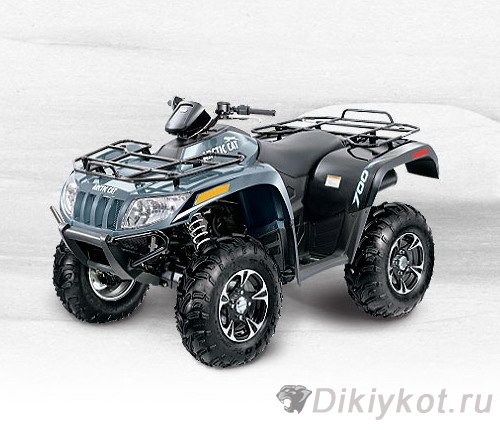 Arctic Cat 300 2x4