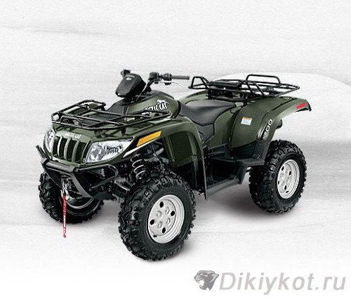 Arctic Cat 300 2x4