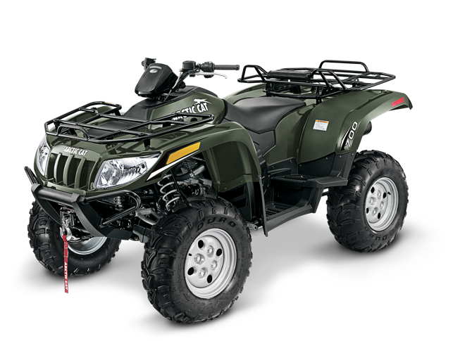 Arctic Cat 300 2x4