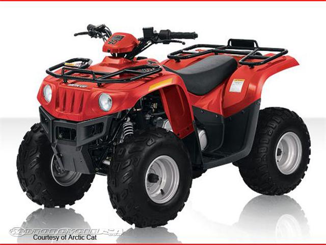 Arctic Cat 300 2x4