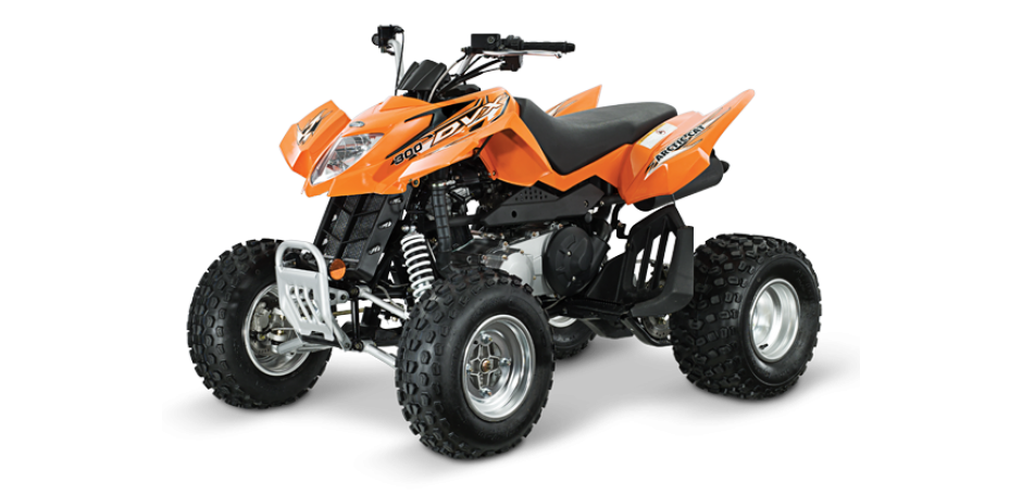 Arctic Cat 300