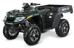 Arctic Cat 300 4x4