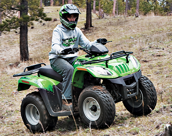 Arctic Cat 300 4x4