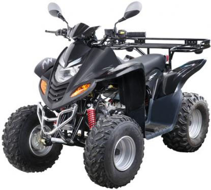Arctic Cat 300
