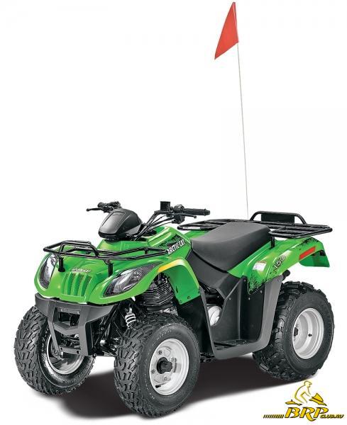 Arctic Cat 300