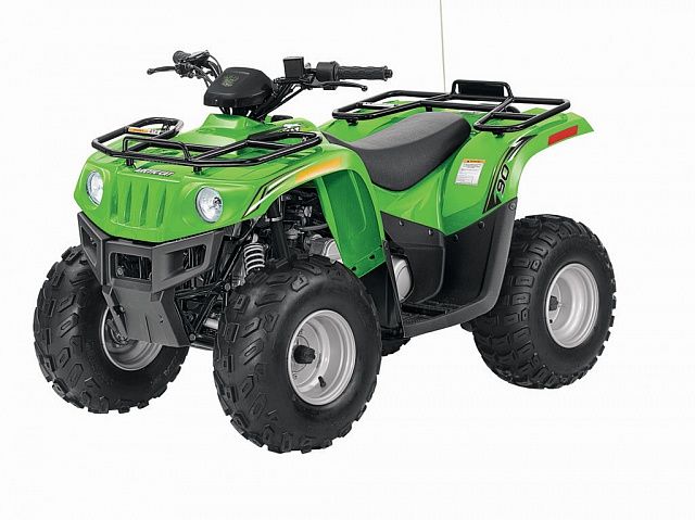 Arctic Cat 300 DVX