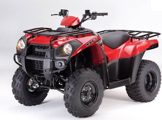 Arctic Cat 300 DVX