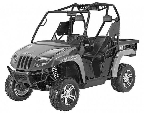 Arctic Cat 300 DVX