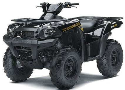 Arctic Cat 300 DVX