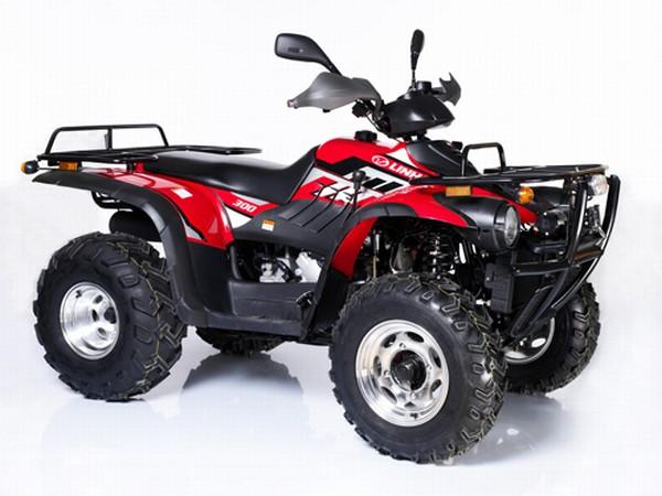 Arctic Cat 300cc