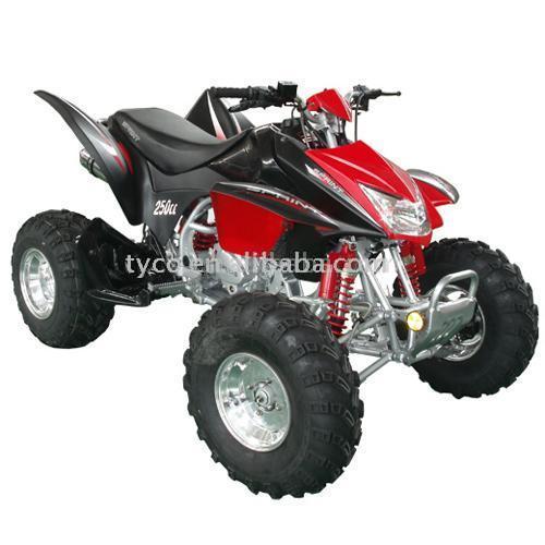 Arctic Cat 300cc