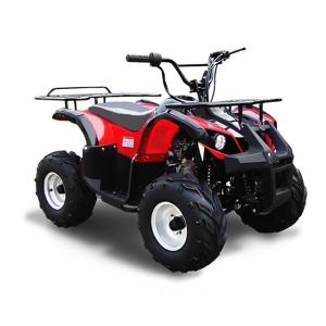Arctic Cat 300cc