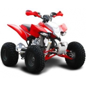 Arctic Cat 300cc