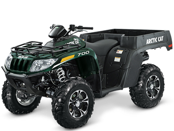 Arctic Cat 350