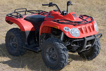 Arctic Cat 366