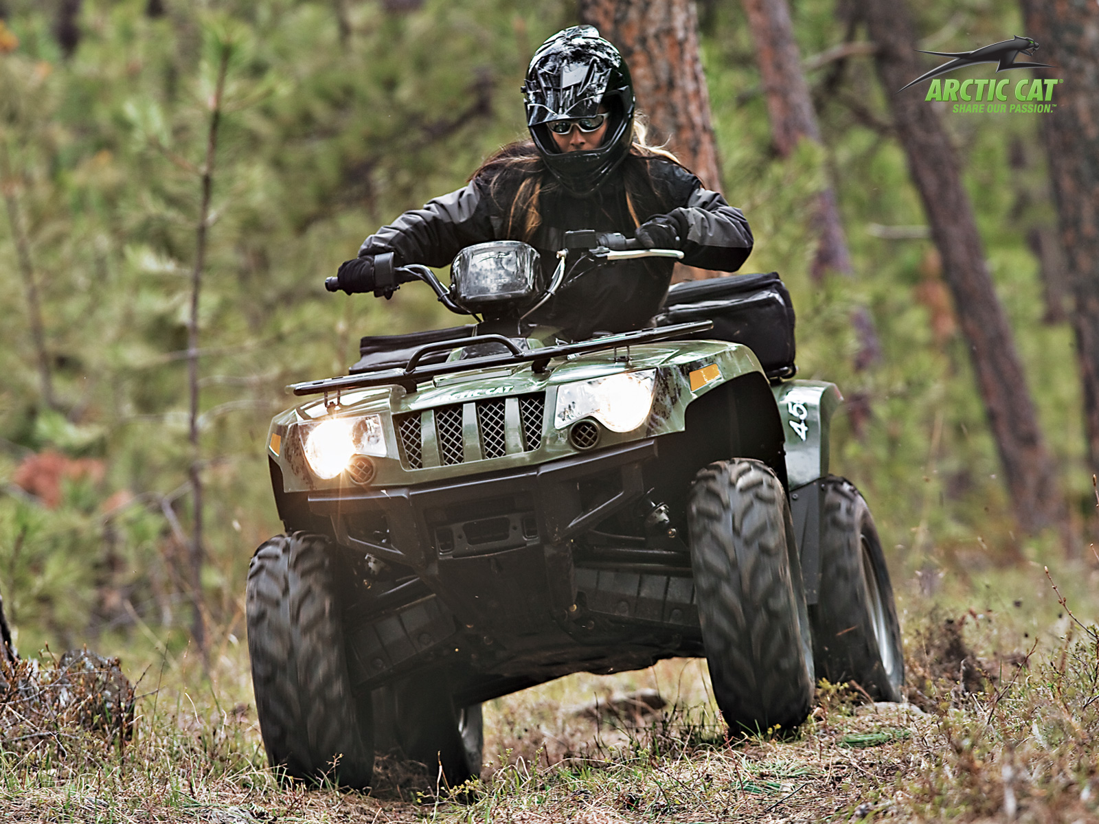 2010 Arctic Cat 450