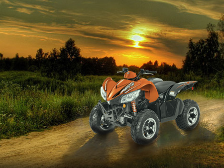 Arctic Cat 450i