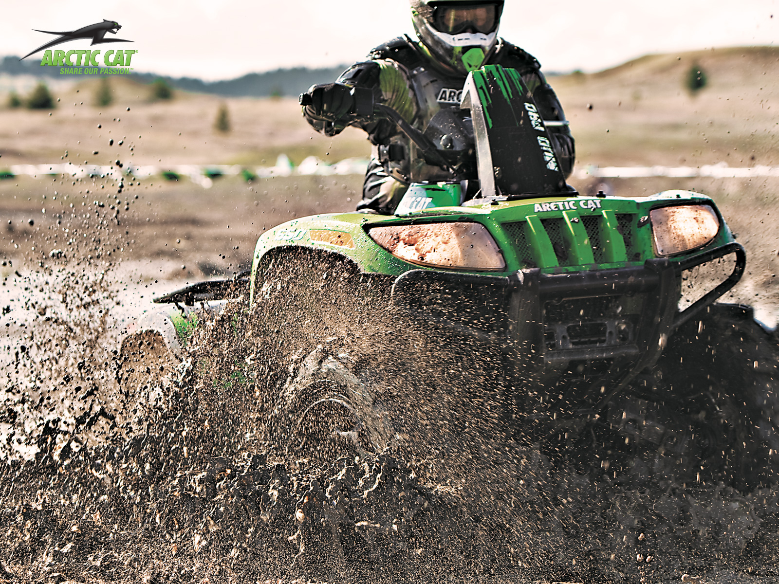 Arctic Cat 650