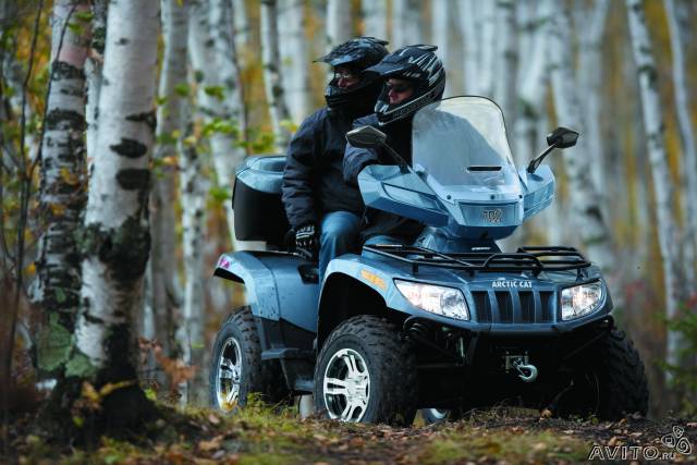 Arctic Cat 700 LTD
