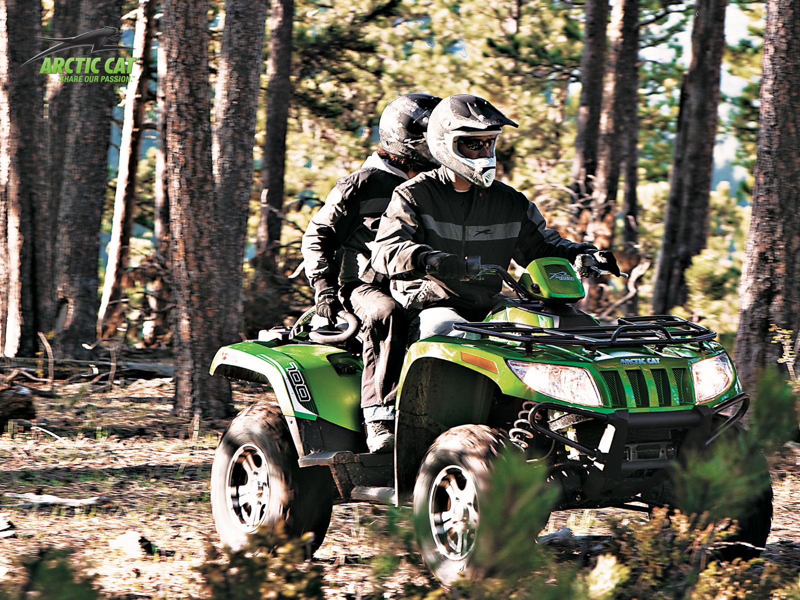 Arctic Cat 700 LTD