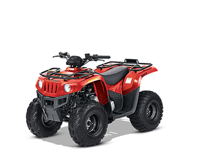 Arctic Cat 90