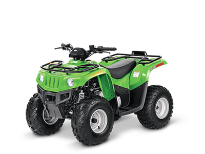 Arctic Cat 90
