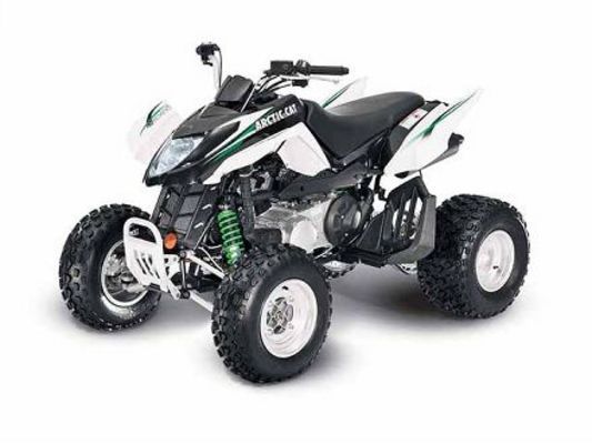 Arctic Cat DVX