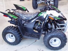 Arctic Cat DVX