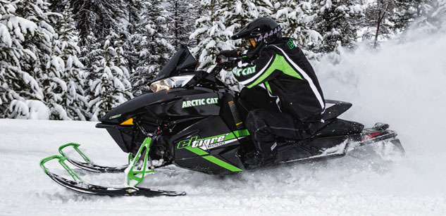 Arctic Cat El Tigre 5000