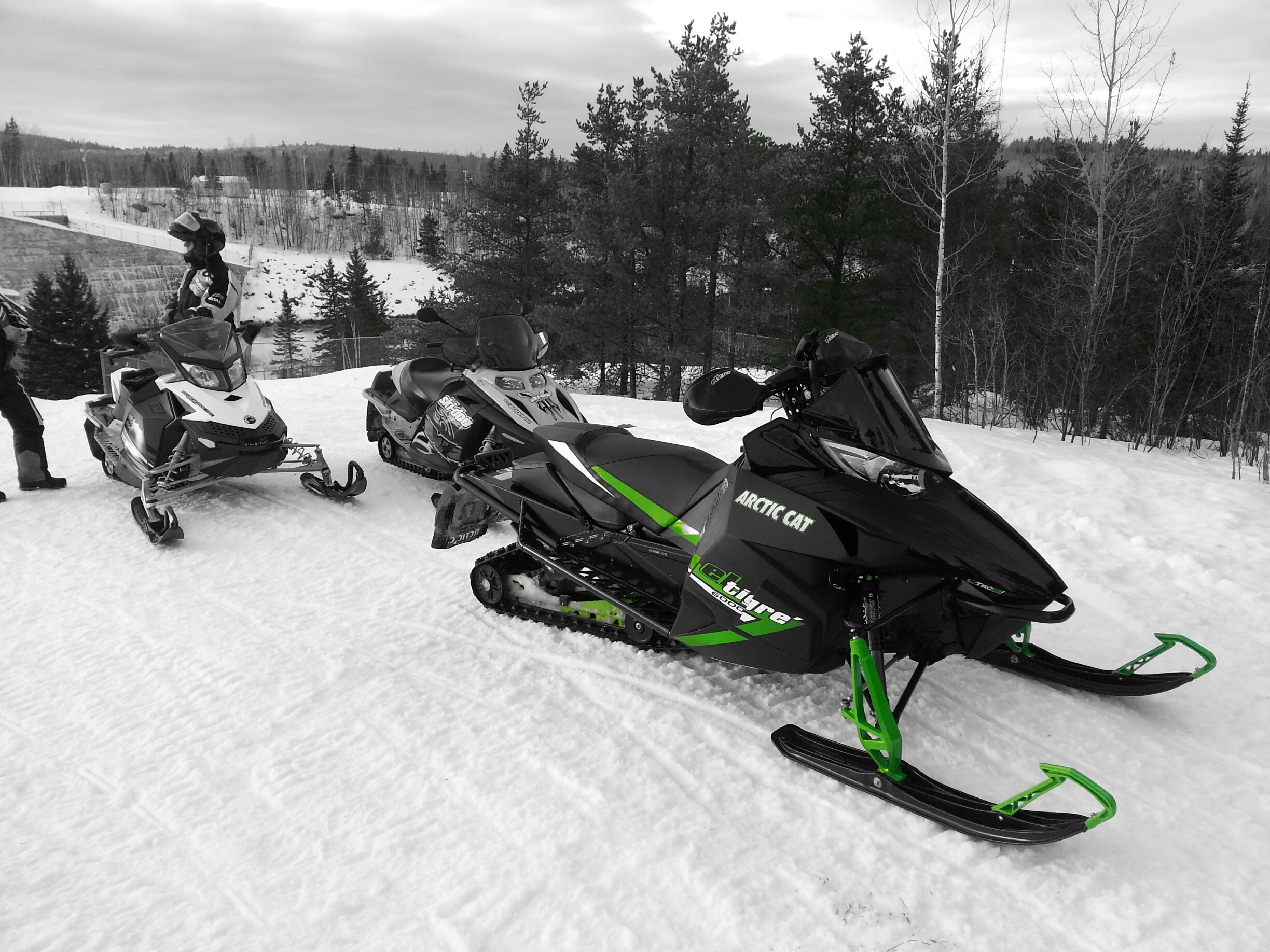 Arctic Cat El Tigre