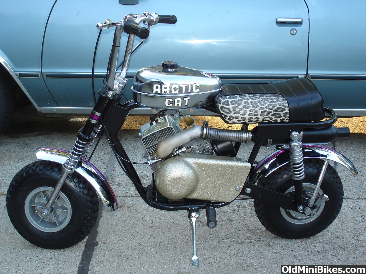 Arctic Cat Mini Bike