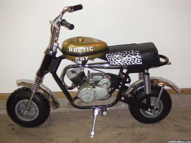 Arctic Cat Mini Bike