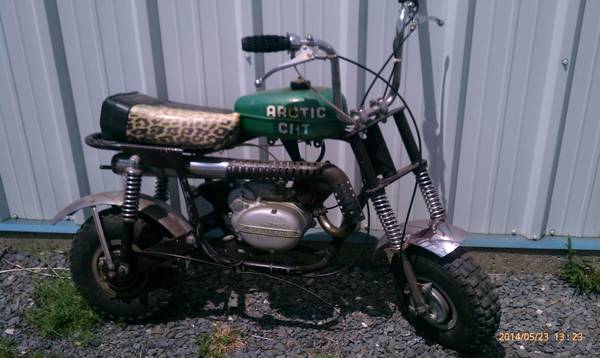 Arctic Cat Mini Bike