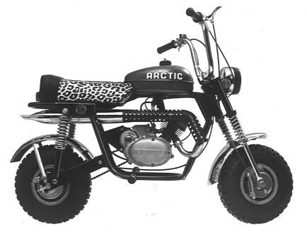 Arctic Cat Mini Bike