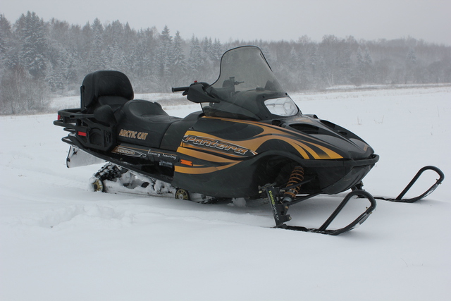 Arctic Cat Pantera