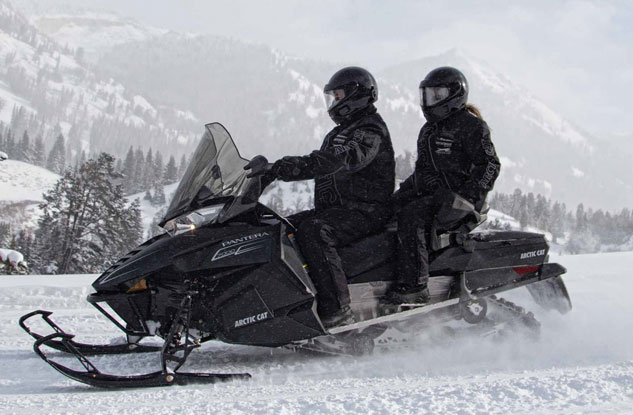 Arctic Cat Pantera