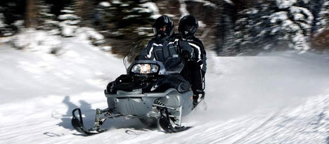 Arctic Cat Panther