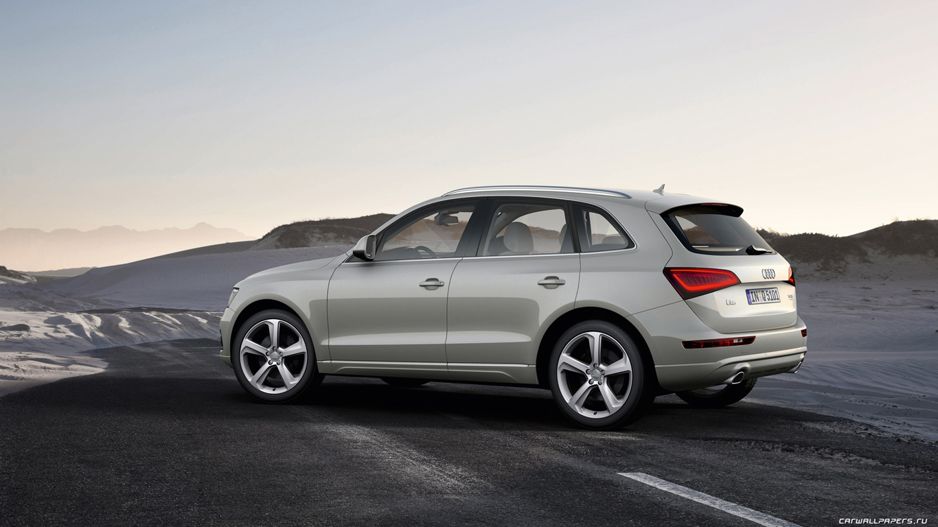 Audi Q5 S