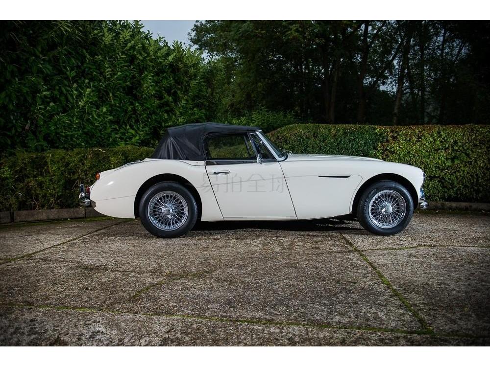 Austin Healey BJ8