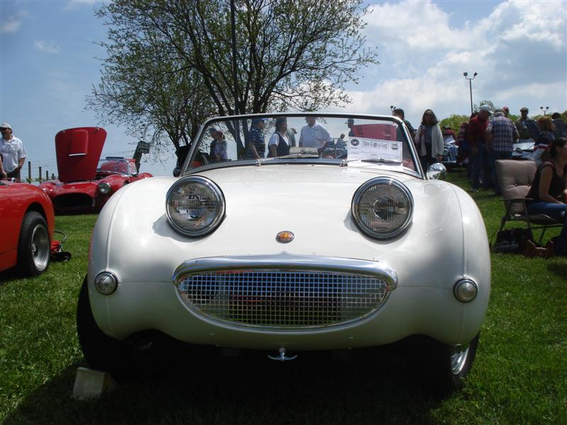 Austin Healey Bug Eyed Sprite