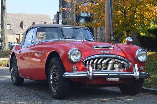 Austin Healey Louise Healey