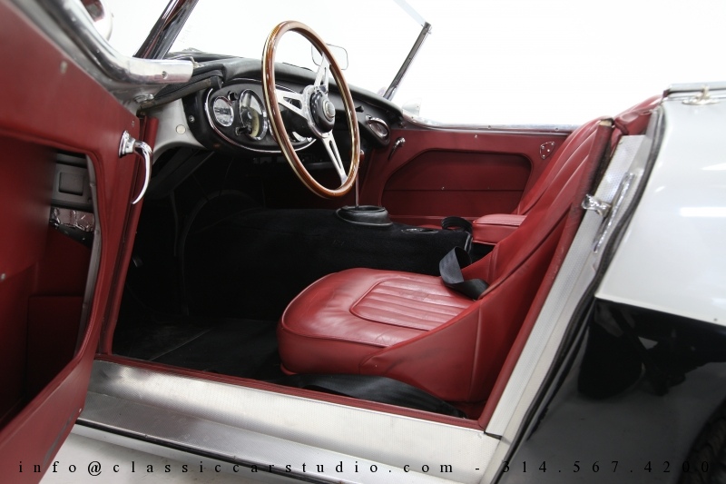 Austin Healey Louise Healey