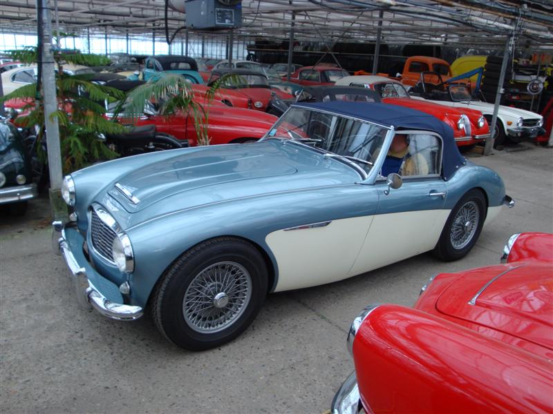 Austin Healey Mini