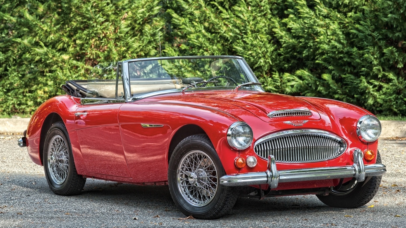 Austin Healey Roadster Austin Healey Roadster