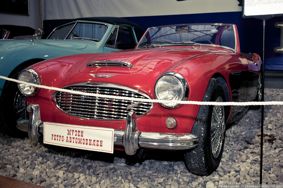 Austin Healey Sebring