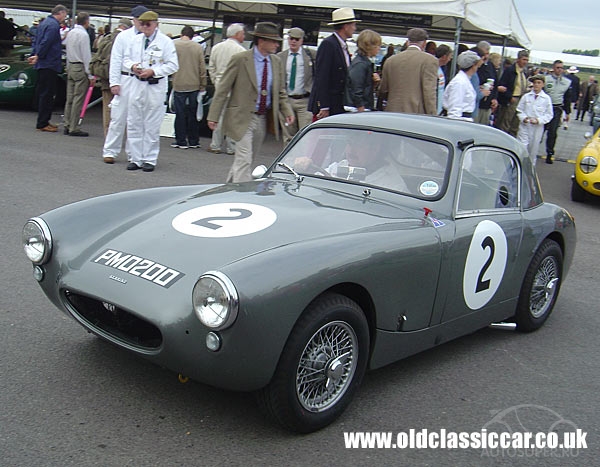 Austin Healey Sebring